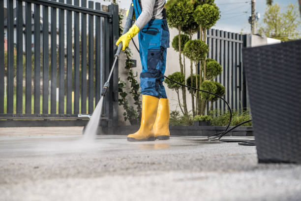 Best Affordable Power Washing  in Menahga, MN