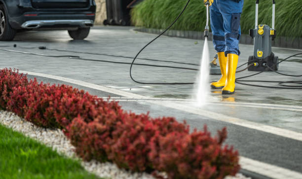 Best Local Pressure Washing Services  in Menahga, MN