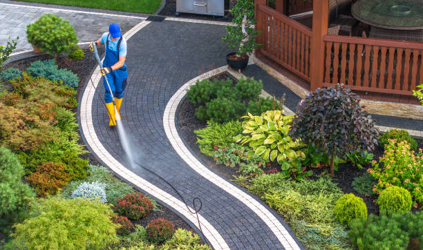 Best Roof Power Washing Services  in Menahga, MN